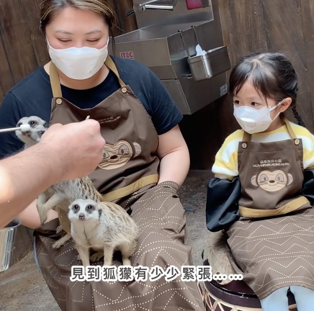 「約會小狐獴」