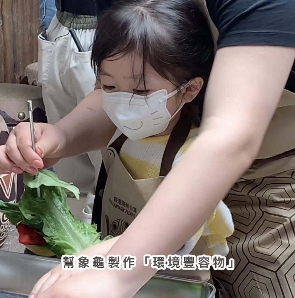 「約會大象龜」