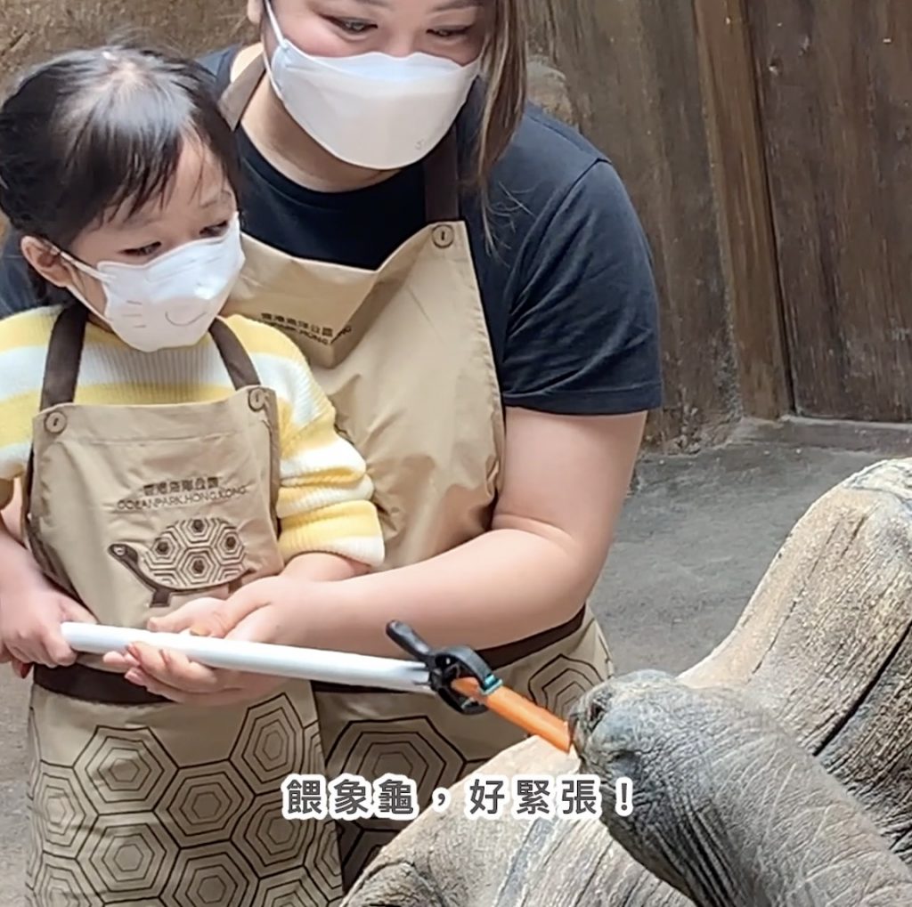 「約會大象龜」