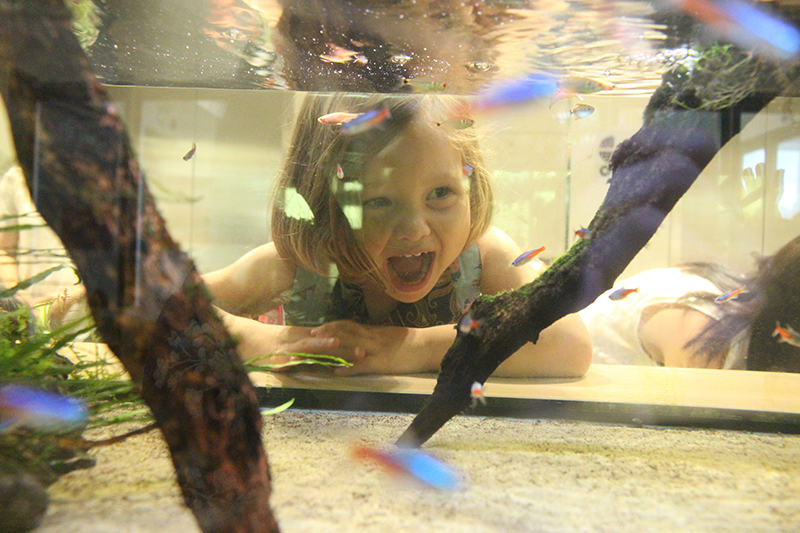 Fairchild Junior Academy Summer Staycation Programs