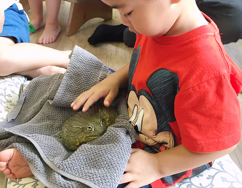 Fairchild Junior Academy Summer Staycation Programs
