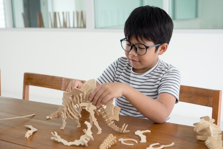 家有恐龍迷？美研：小孩愈喜愛恐龍愈聰明