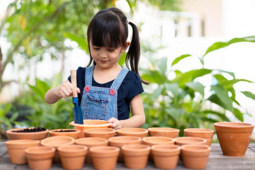一人一花2021/22三色堇成功種植及開花貼士