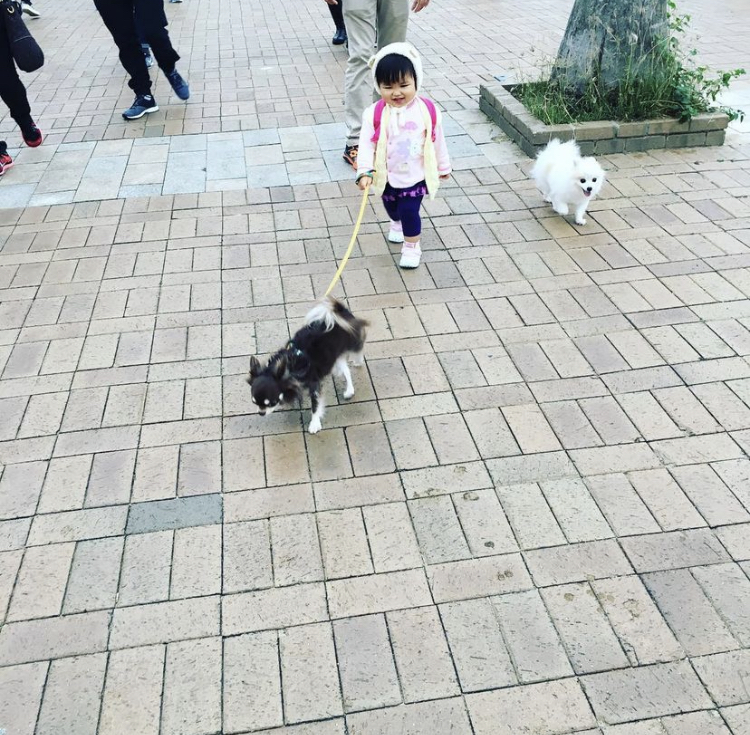 麥雅緻張頴康過新年一家六口齊合照。