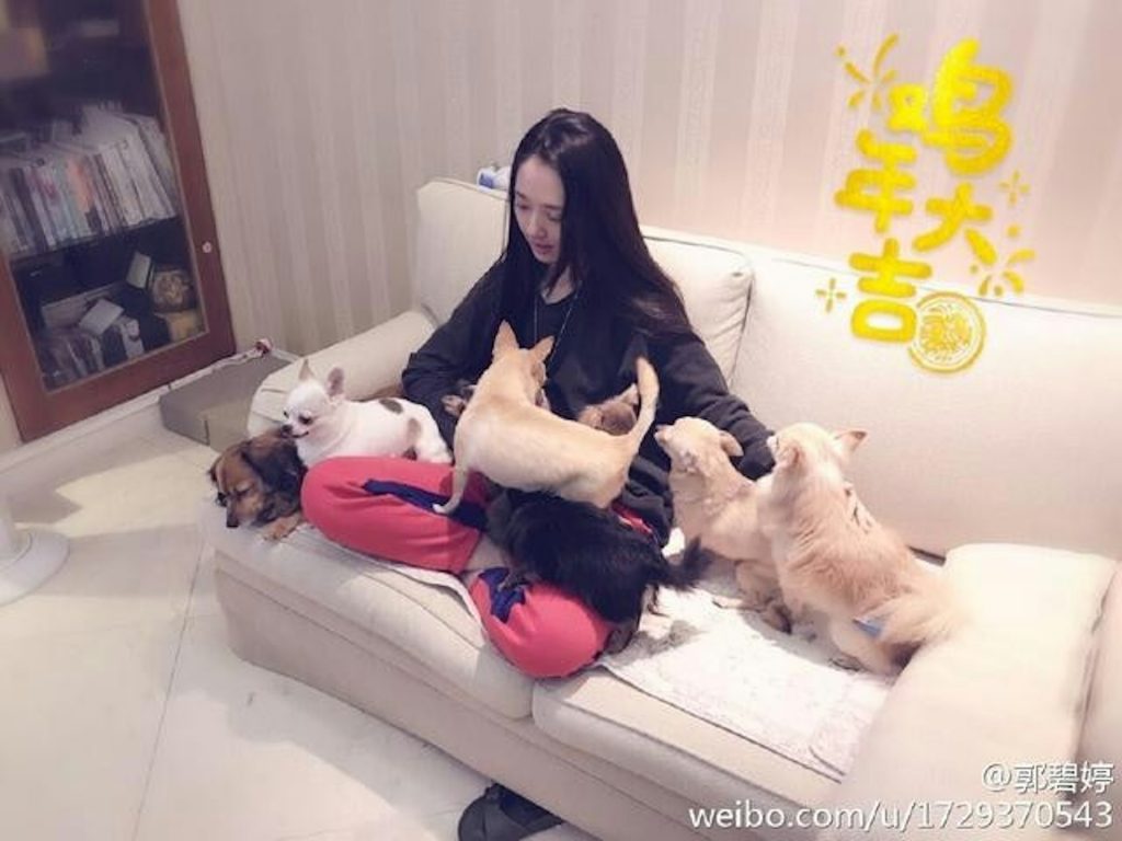 郭碧婷