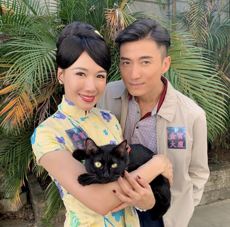 金宵大廈｜靚寶半歲入行史上最細「男一」！身世可鄰因非純種被棄養 打破黑色不祥貓宿命成貓明星
