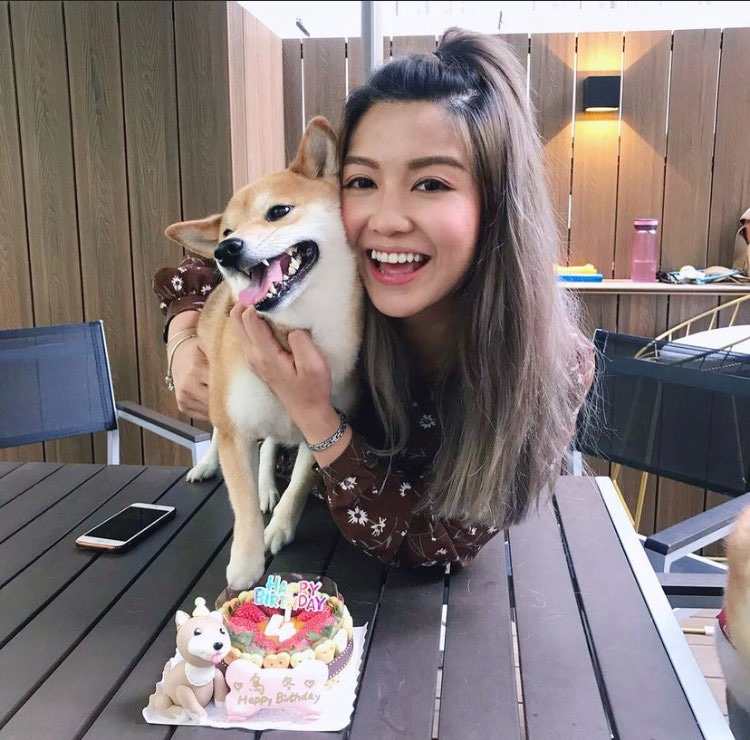 娟姐練美娟為愛犬烏冬慶祝8歲生日