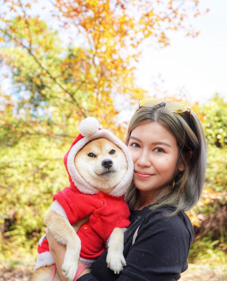 娟姐練美娟為愛犬烏冬慶祝8歲生日