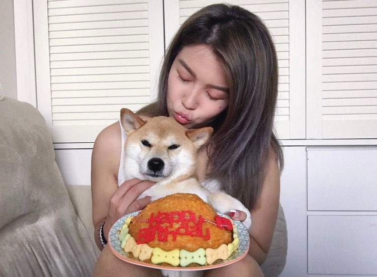 娟姐練美娟為愛犬烏冬慶祝8歲生日