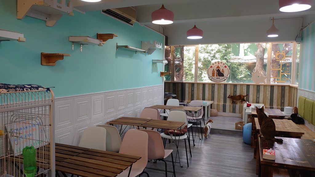 香港貓cafe推介