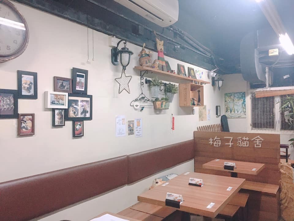 香港貓cafe推介