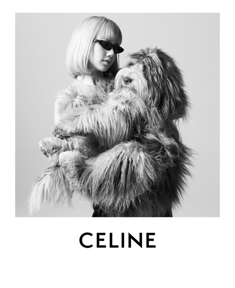 寵物時尚品牌（1）CELINE