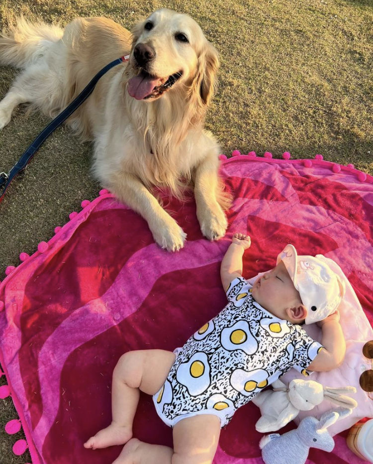 海濱公園｜梁諾妍孖愛犬與囡囡海邊放電、陳山聰父子坐艇仔遊維港