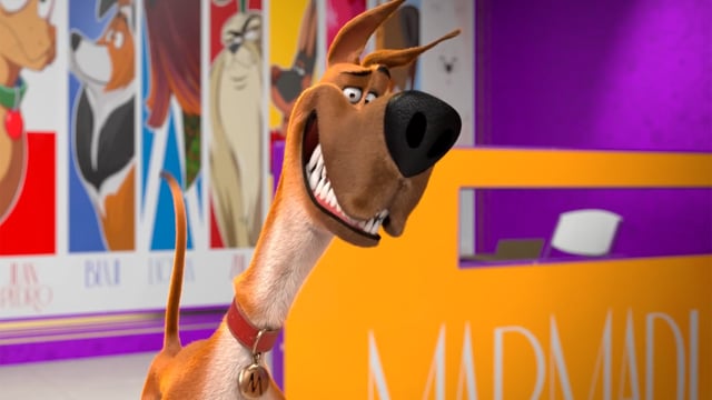 （圖片來源：《一家之犬馬馬杜》（Marmaduke）電影截圖）