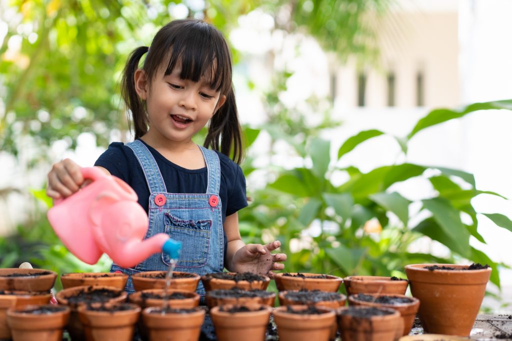 一人一花 2022 2023 蜆肉海棠 四季海棠 開花 栽種貼士