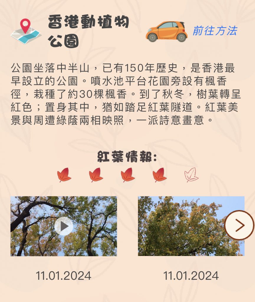 紅葉情報 2024