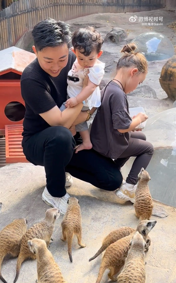 葉海洋 胎前記憶