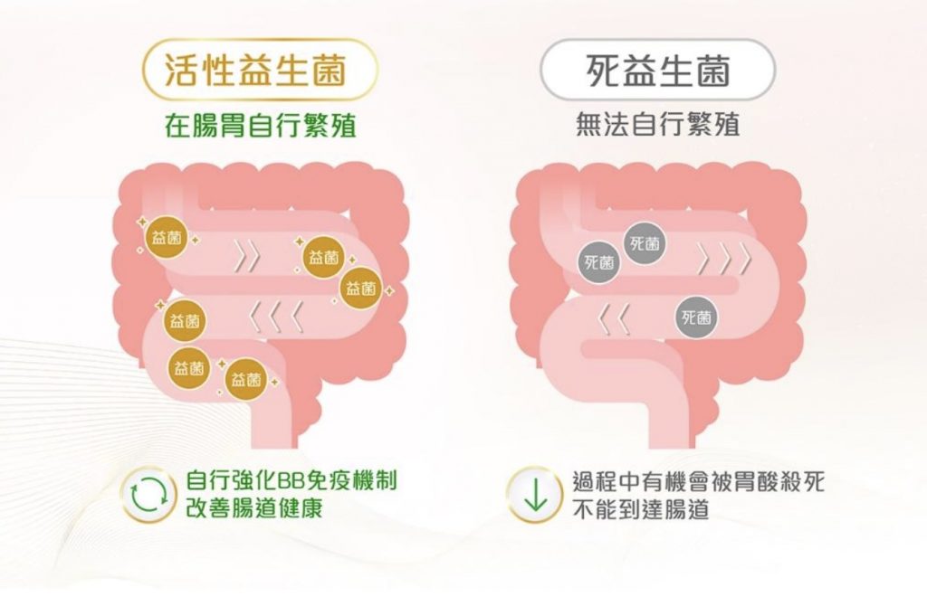 HMP x GOS 解決BB腸道煩惱