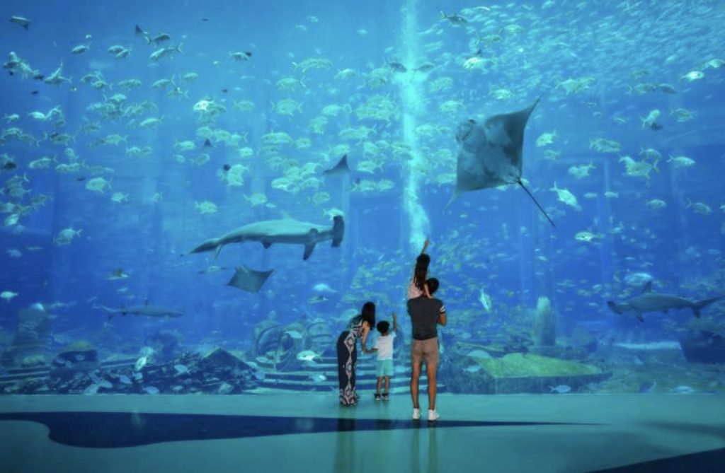 亞特蘭蒂斯失落的空間水族館