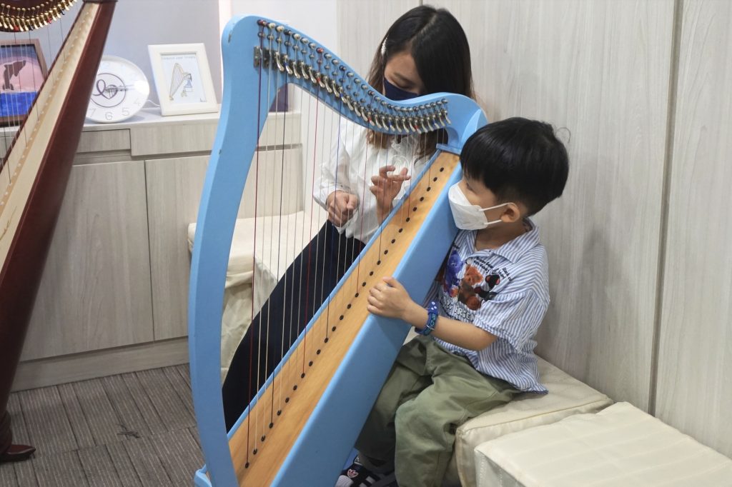雅樂傳情 豎琴