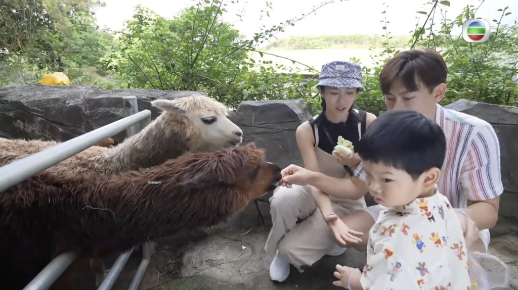 (圖片:《一家人去旅行》節目截圖)
