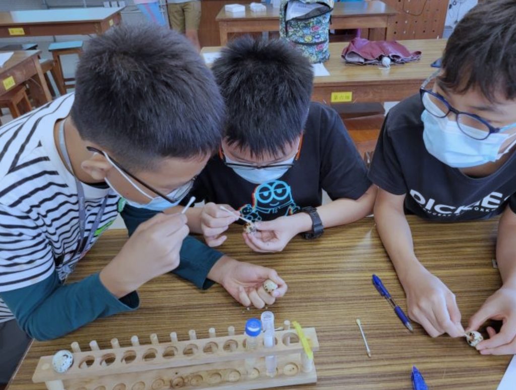 資優教育學苑為 10 - 18歲學童提供多項興趣課程。