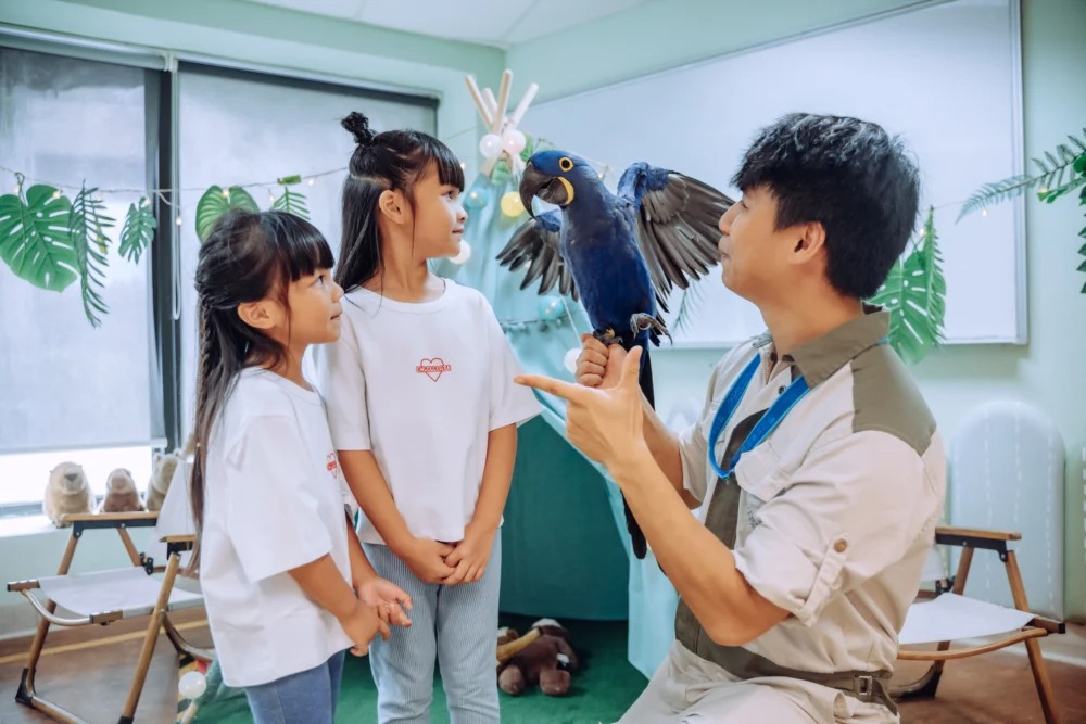 shemom有著數 海洋公園 早鳥優惠