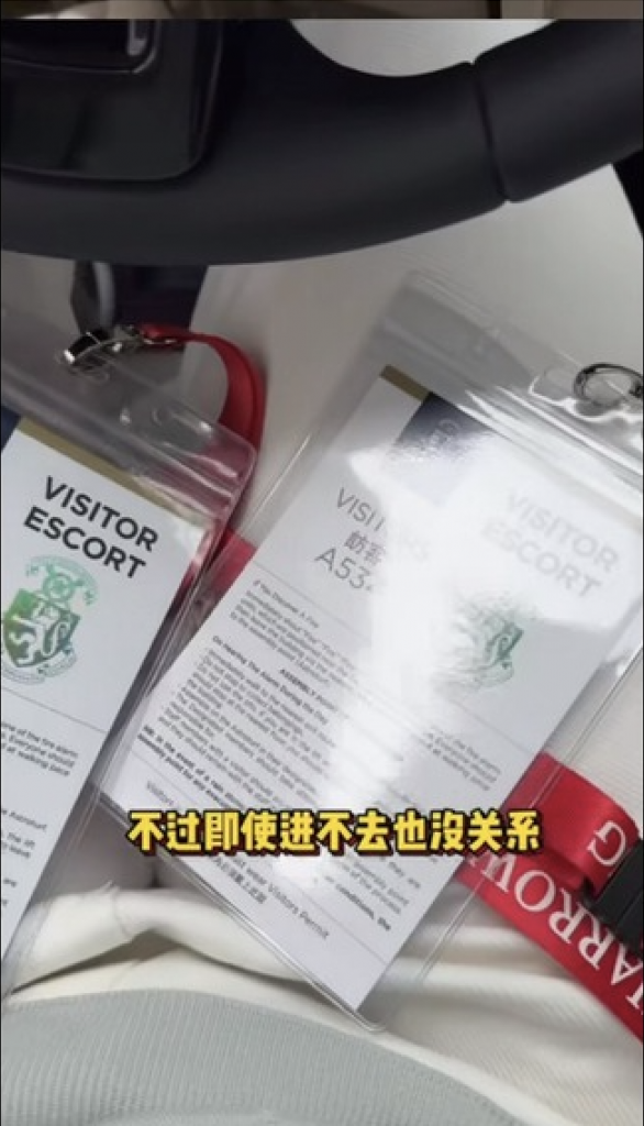 內地女CEO 葉海洋