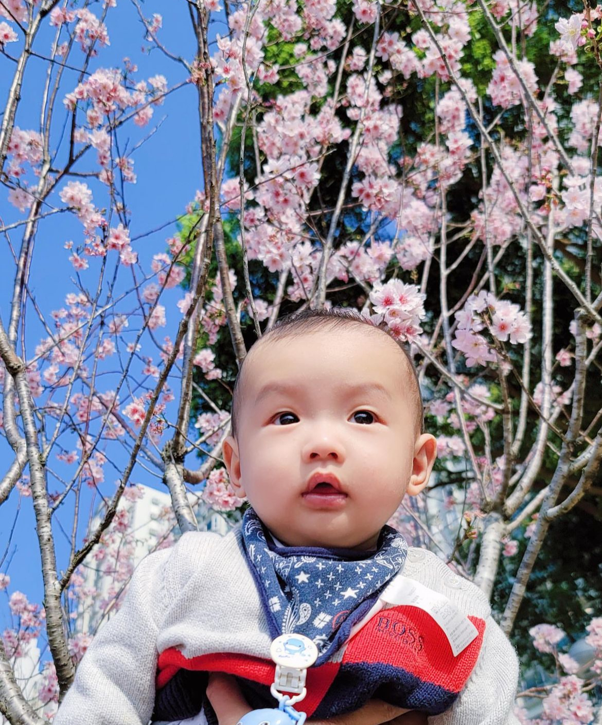 (圖片授權:IGlittlegabrielbb)