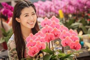 新年市集2024 新年