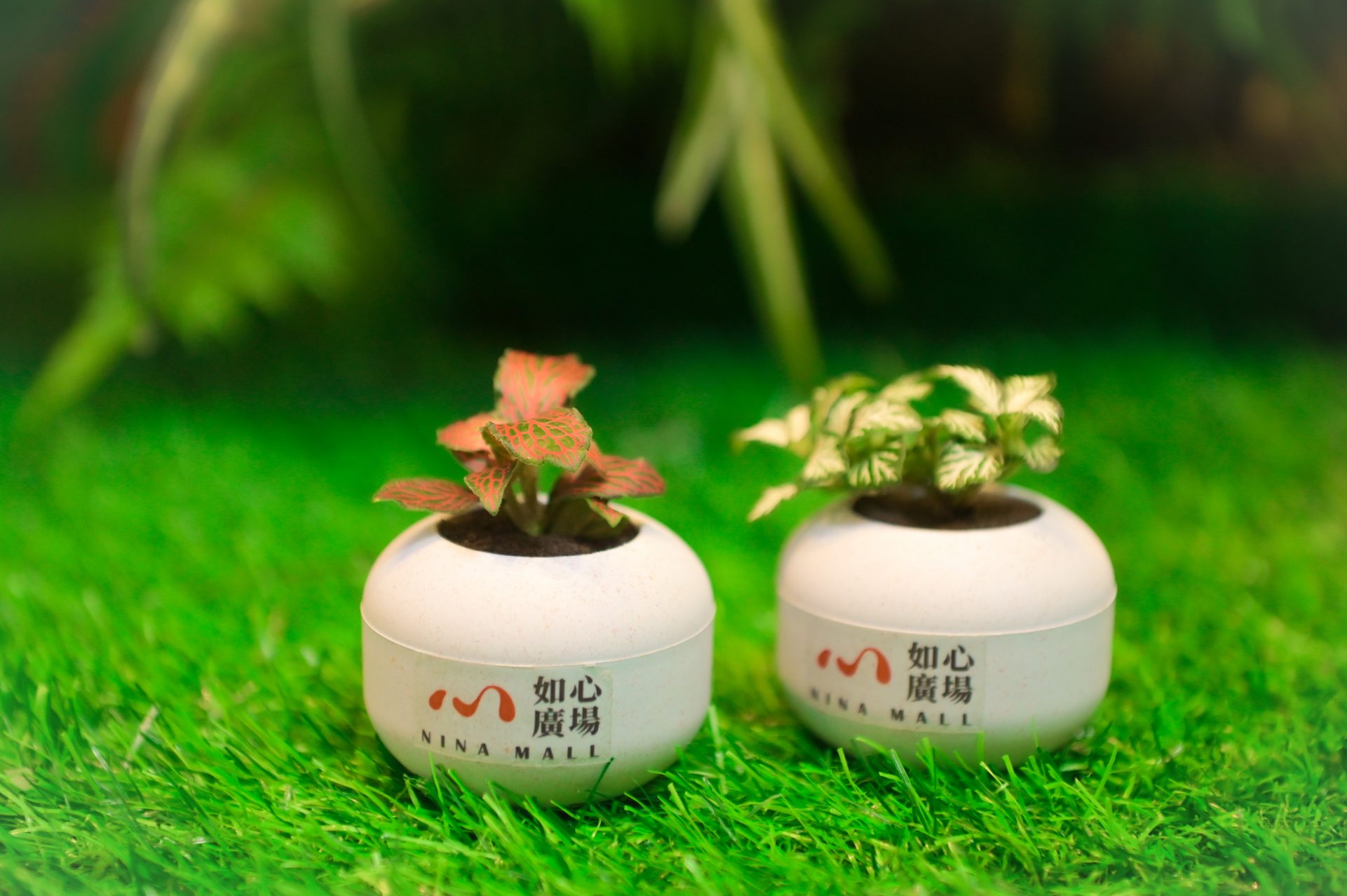 荃灣如心廣場「彩蛋 • 紙之森」