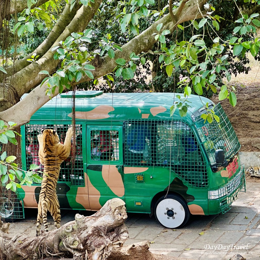 親子好去處 深圳 動物園
