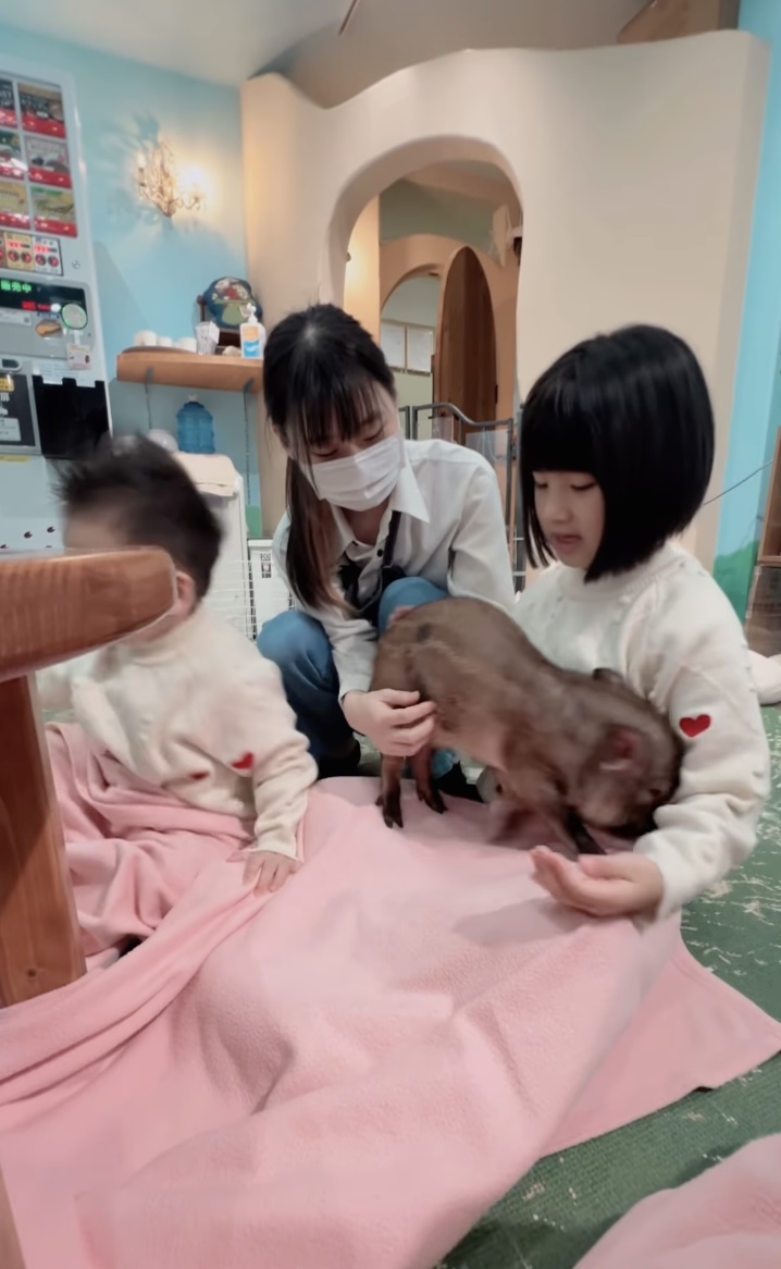 （圖片來源：IG@rabeeayeung）