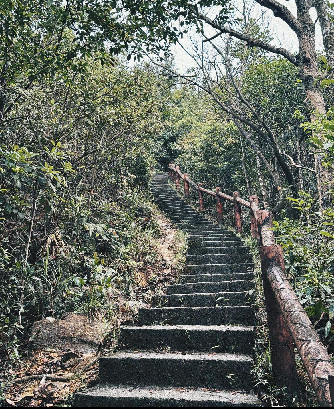 (圖片來源：IG@inez_leong)