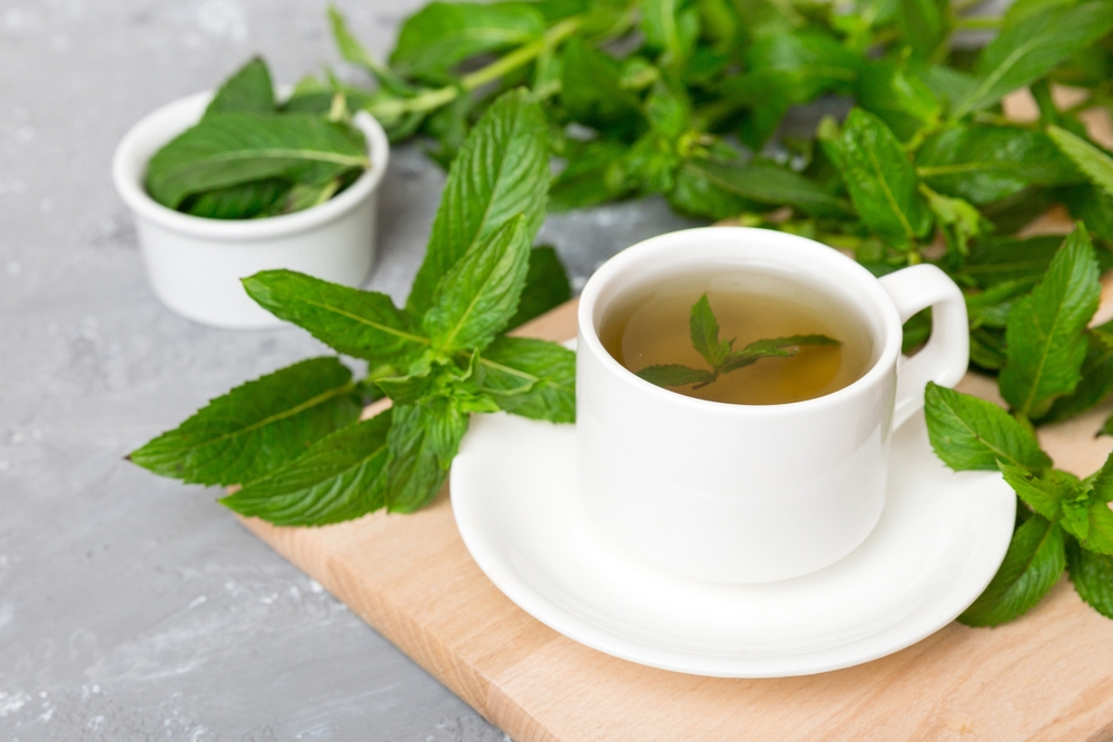 薄荷和薄荷茶 Peppermint Tea