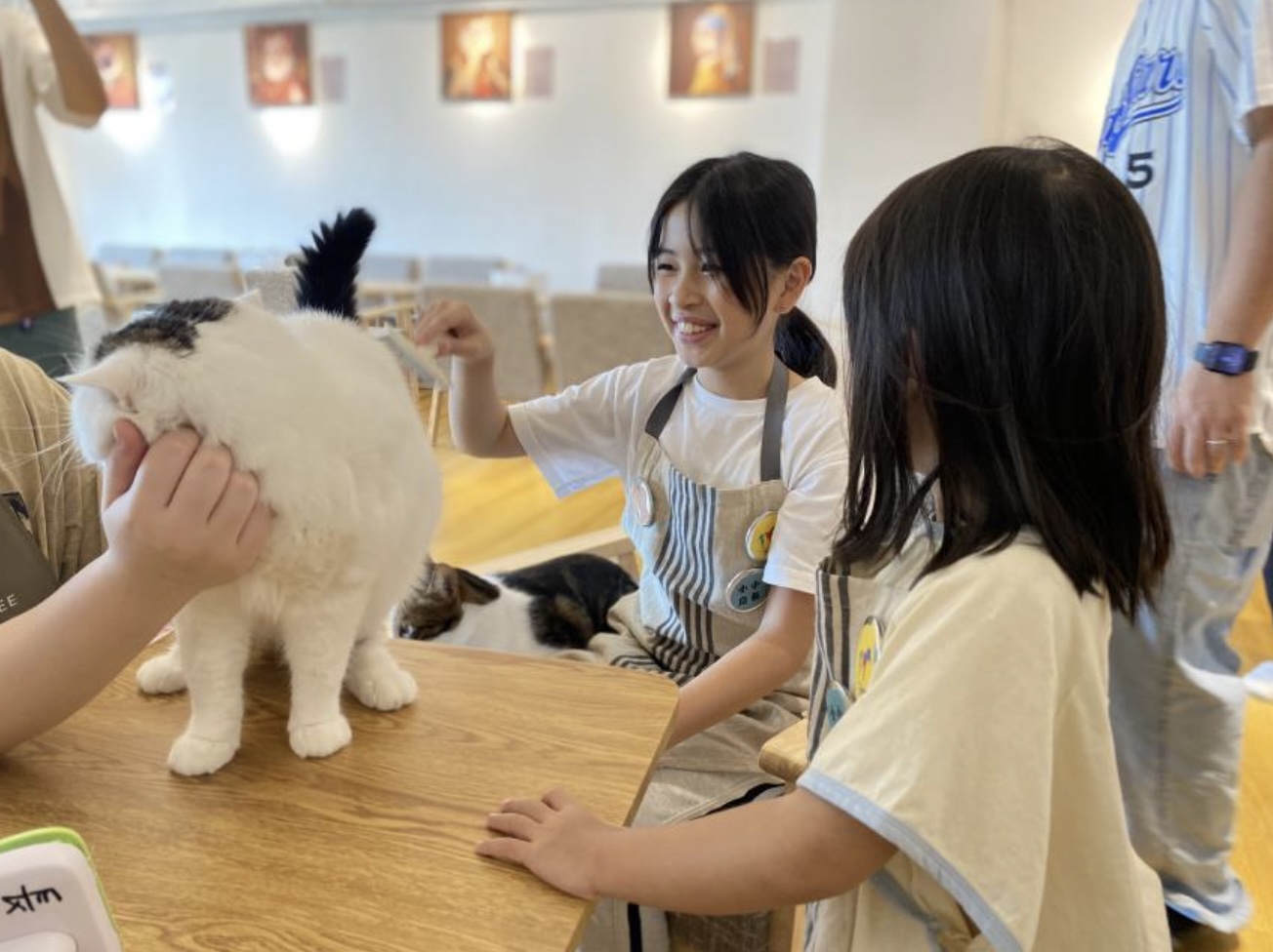 （圖片來源：KKDAY）