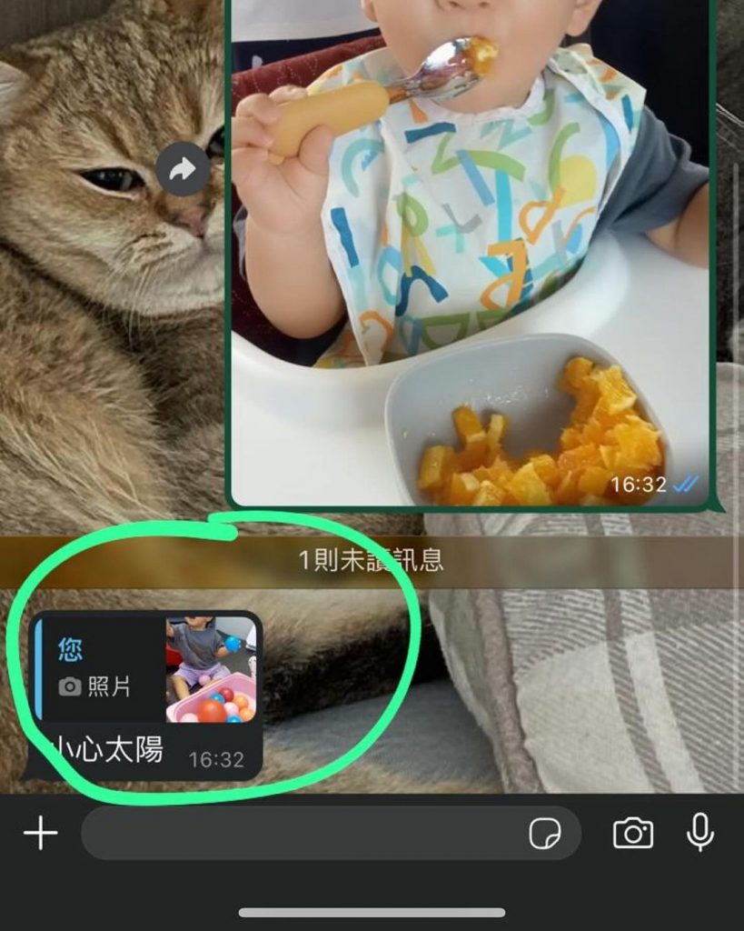 江若琳 蕭唯展 子女教養 育兒 港孩
