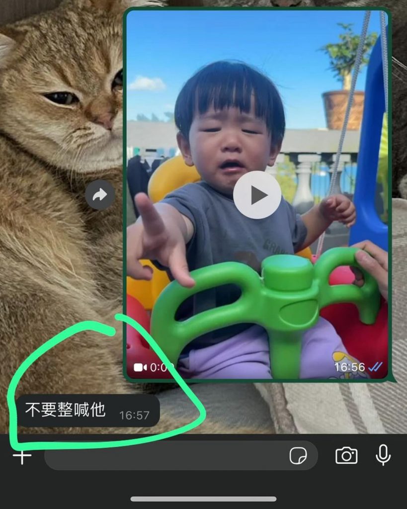 江若琳 蕭唯展 子女教養 育兒 港孩