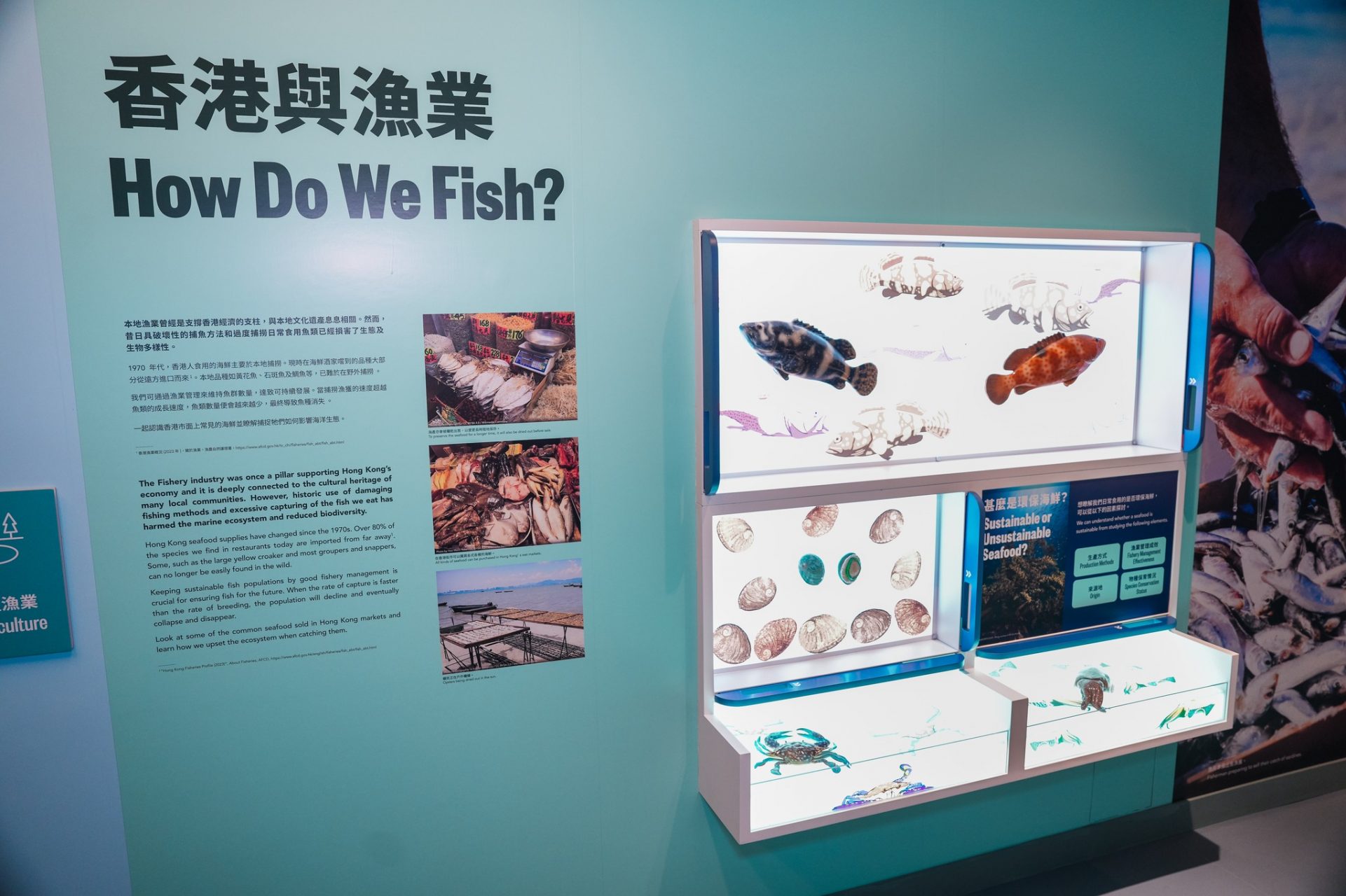 香港海事博物館「太古海洋探知館」