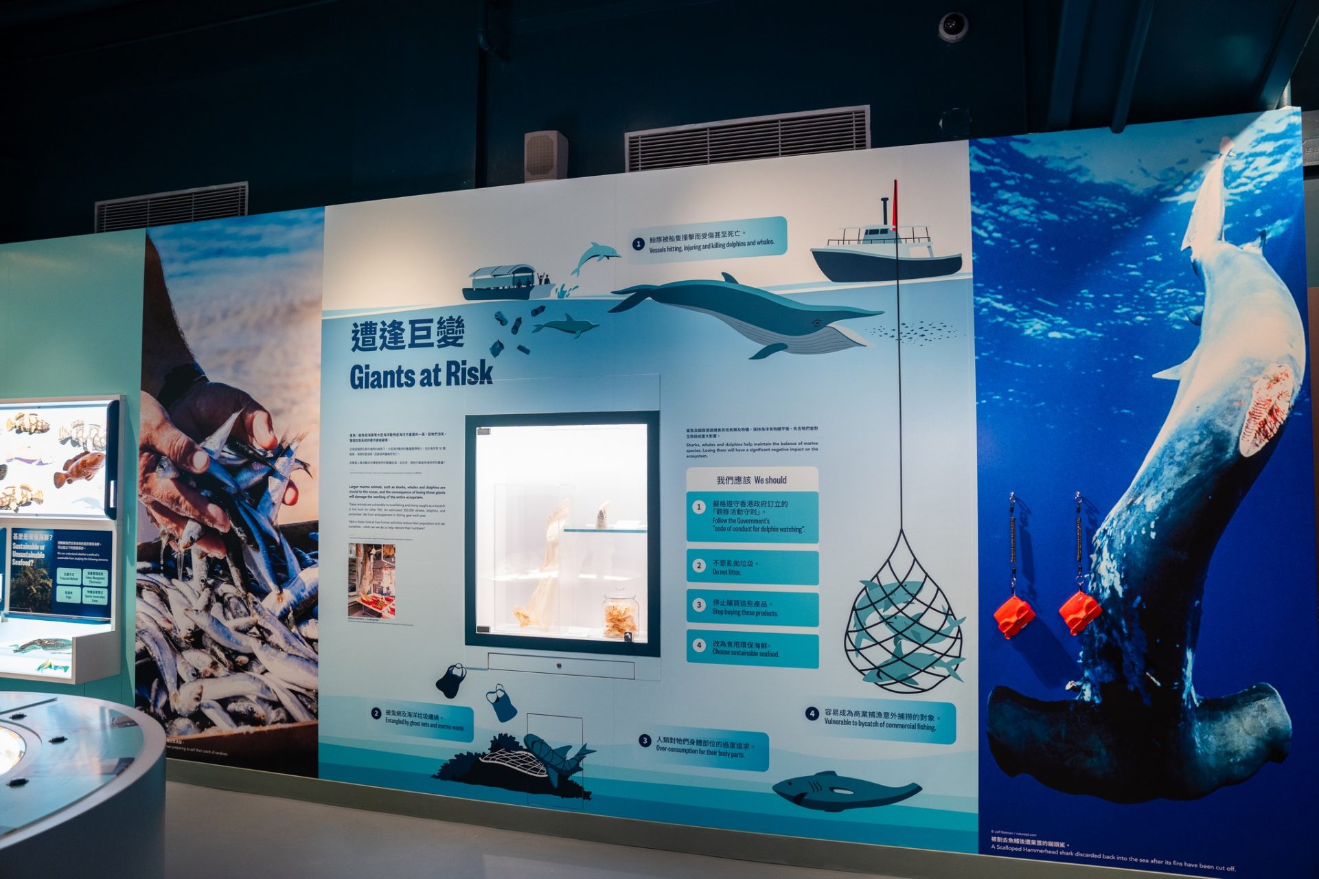 香港海事博物館「太古海洋探知館」