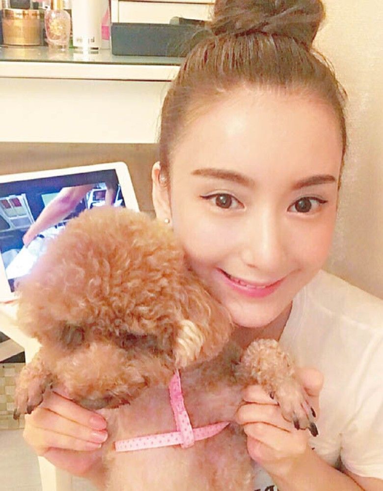 方媛的愛犬皮皮在結婚前走失了。(圖片來源：方媛微博)