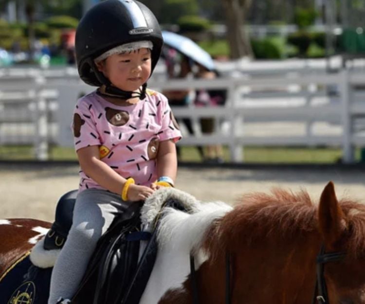 屯門公眾騎術學校開放日2024｜試騎小馬、參觀馬房、迷你小馬拍照、攤位遊戲   豐富節目免費入場