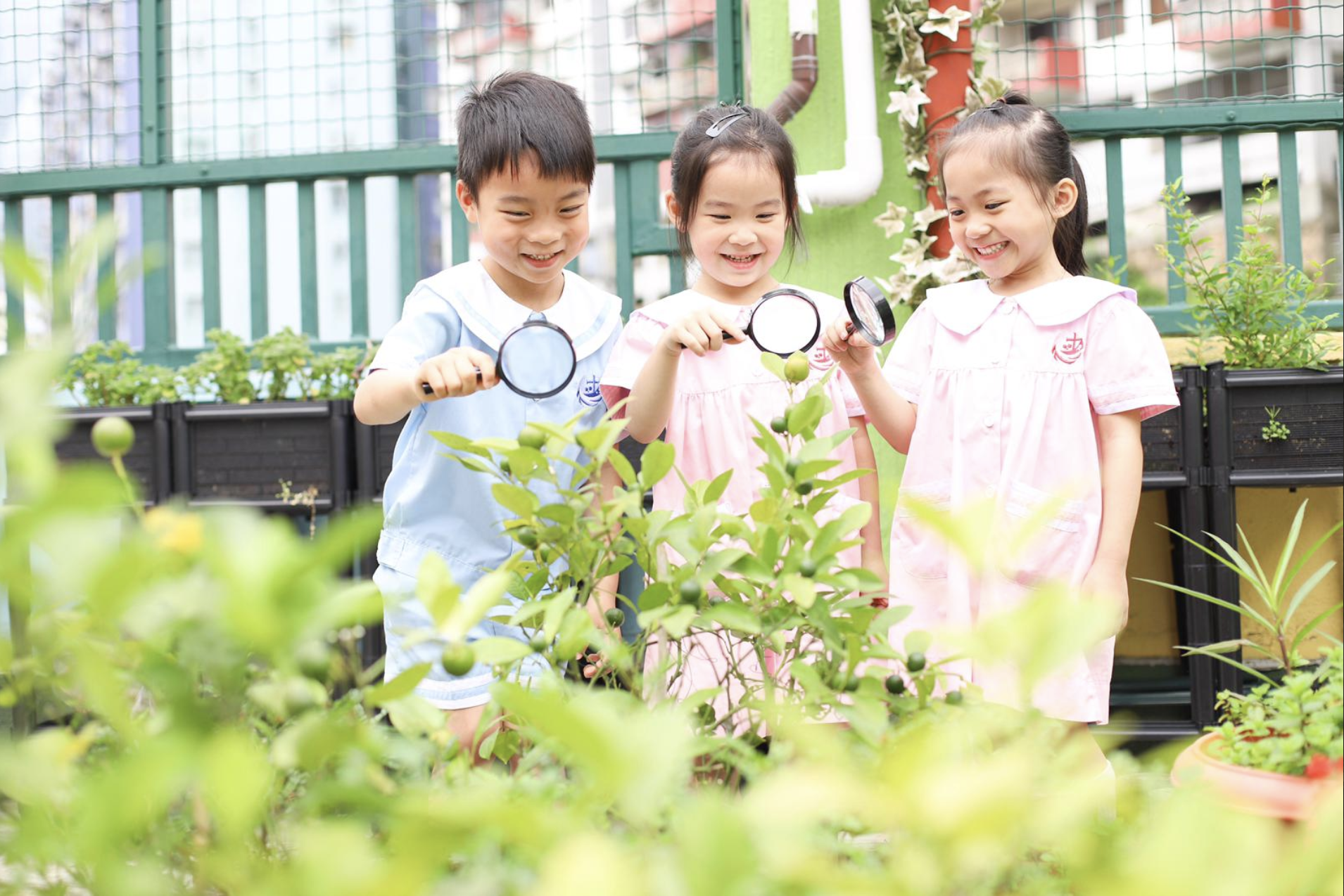 免費幼稚園 香港基督教務處觀塘幼兒學校
