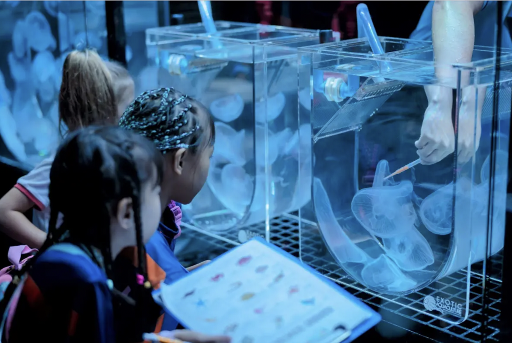 Aquaria Phuket 布吉 親子好去處