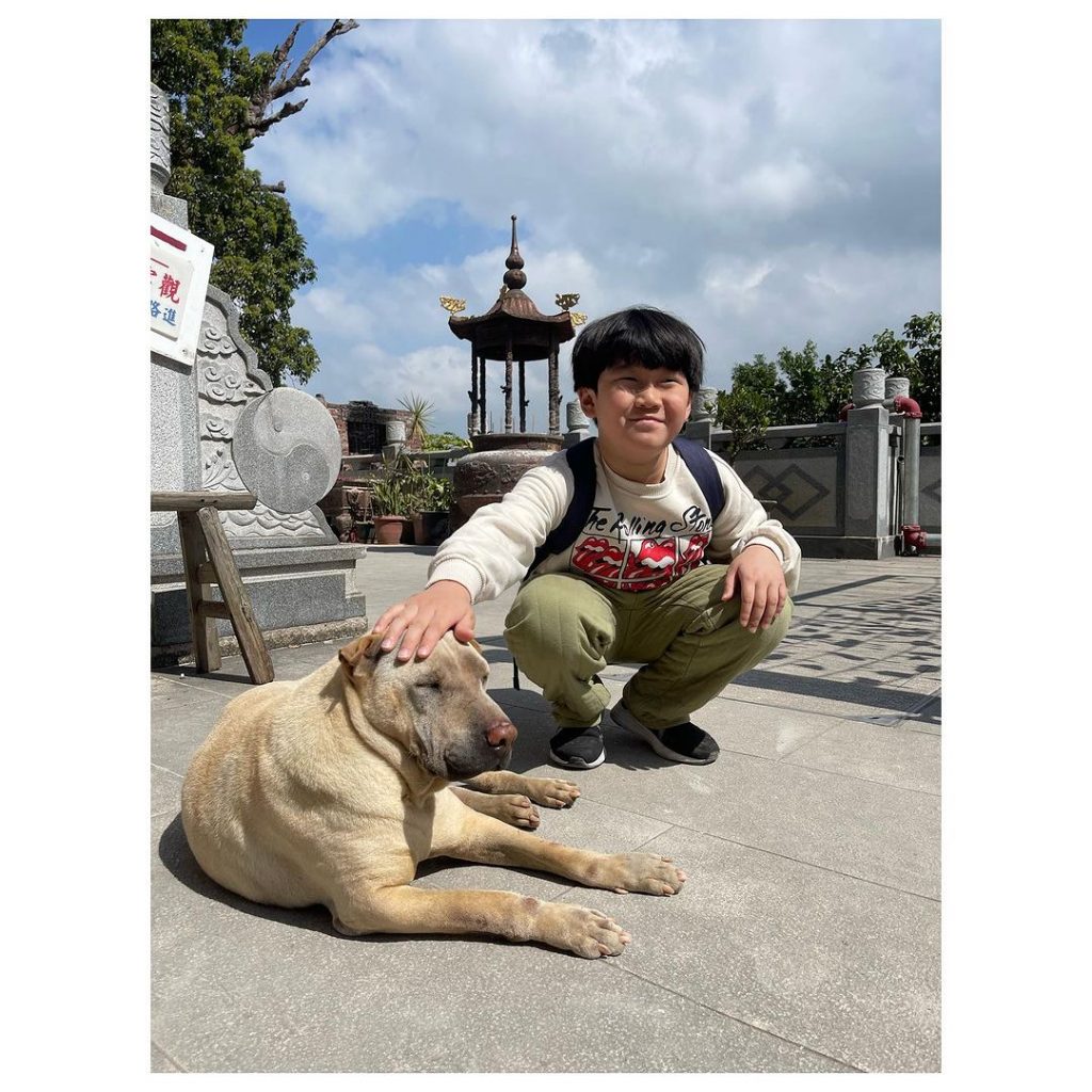 呂慧儀 子女教養 育兒 升中準備