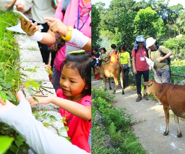 親子好去處｜免費參加6大特色主題野趣深「導」遊 漁護署帶領深入探索大自然 最快12月開團！