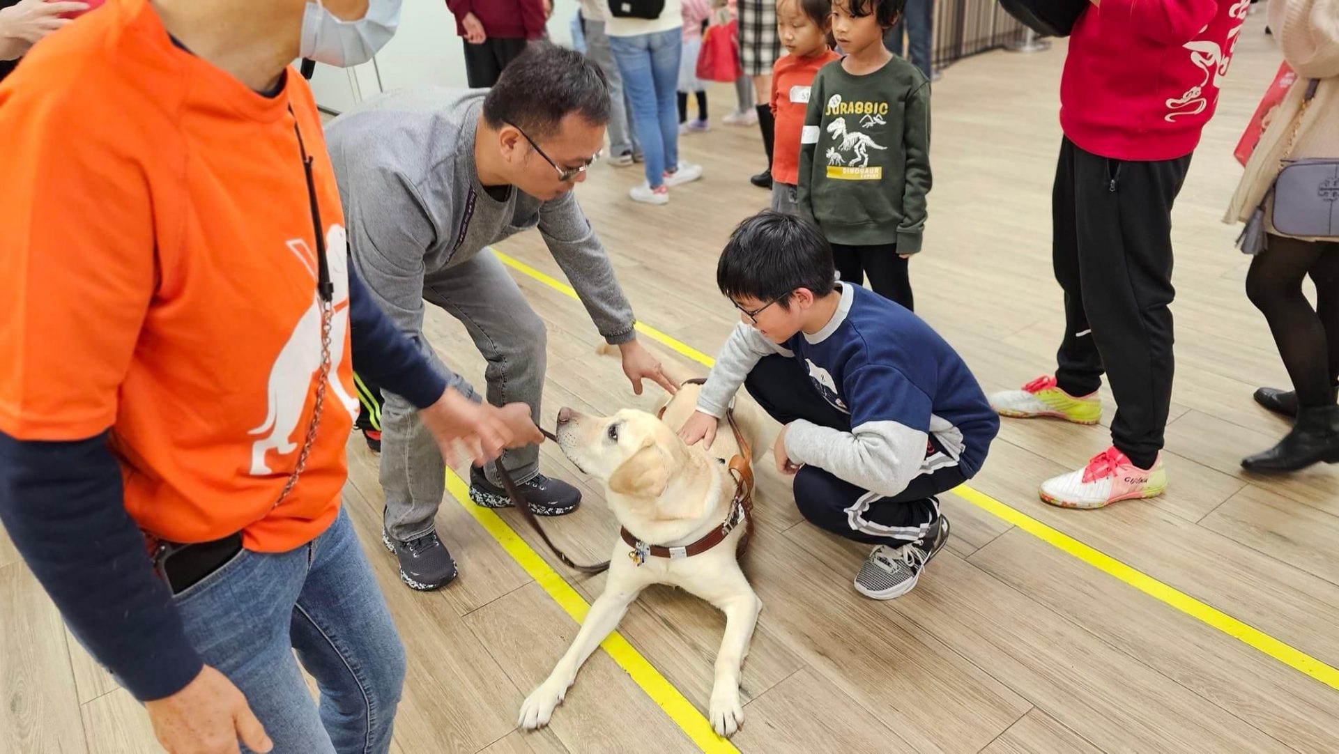 香港導盲犬協會