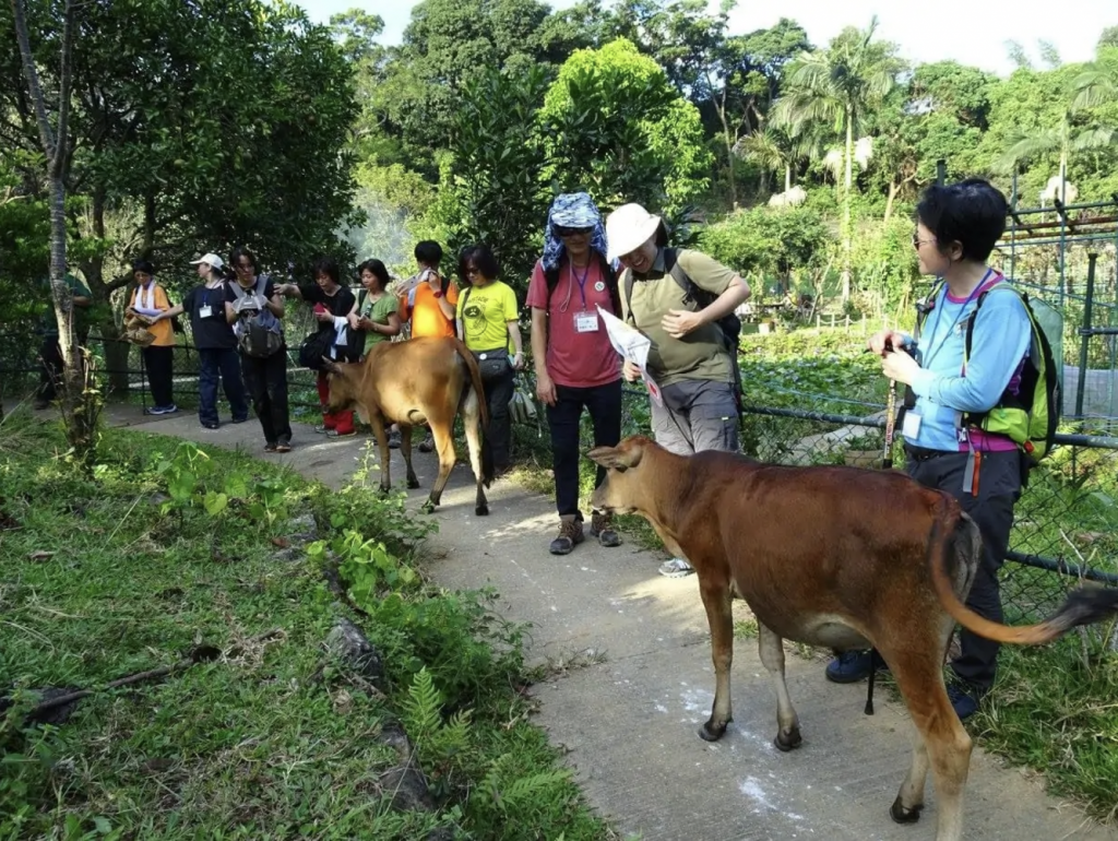 親子好去處 大自然 導賞團 漁護署