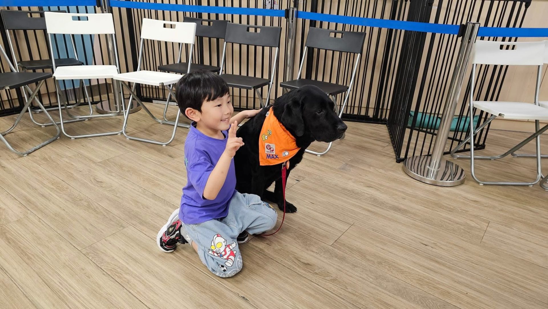 香港導盲犬協會