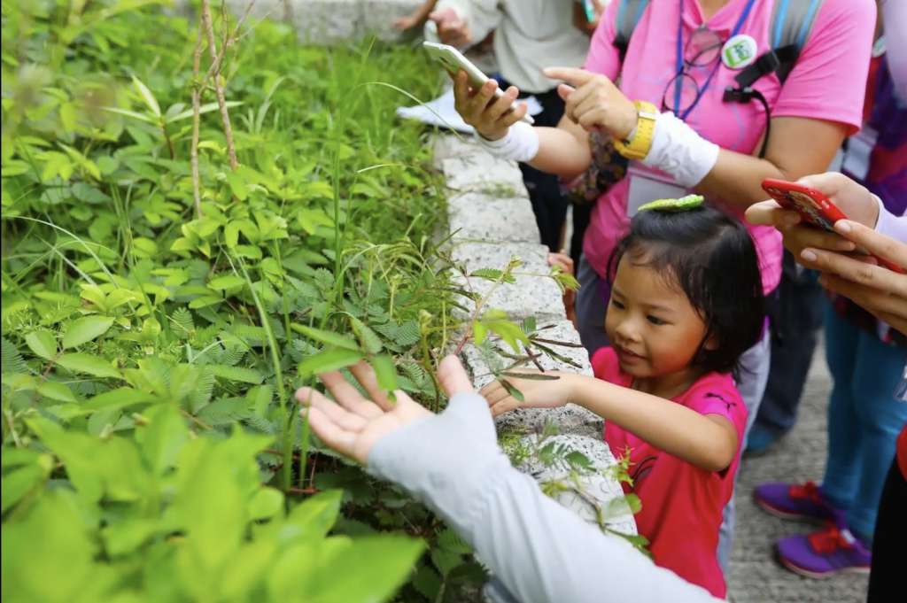 親子好去處 大自然 導賞團 漁護署